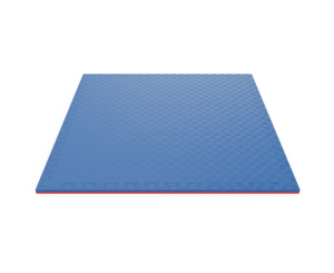 Будо-мат EVA DFC 100 x 100 см, 20 мм, цвет сине-розовый